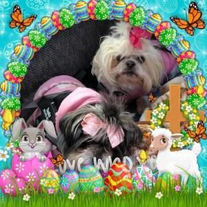 Meet your Posher, Donna